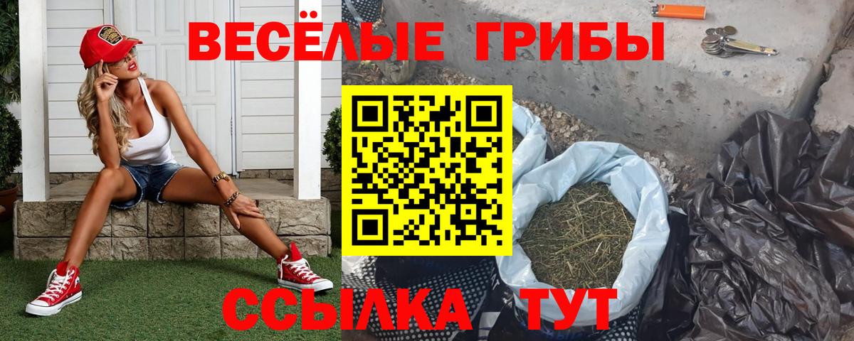 Псилоцибиновые грибы мухоморы  Галлюциногенные грибы Magic Shrooms  Вход с VPN  Истра 